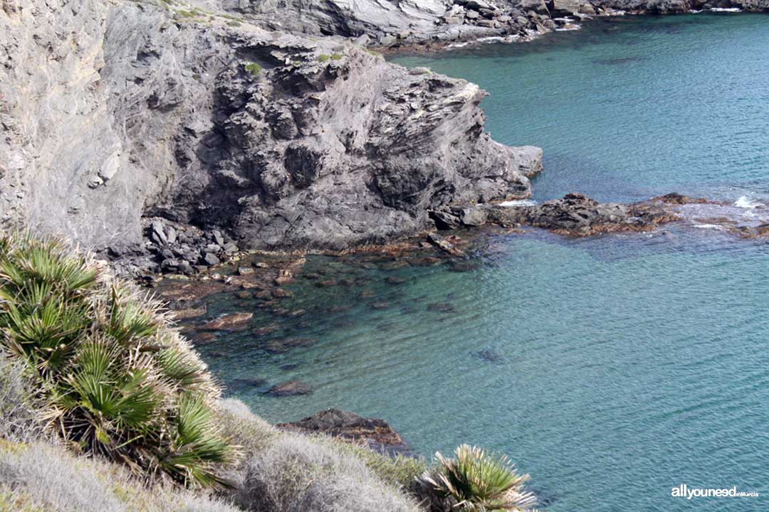 Cala del Reventón