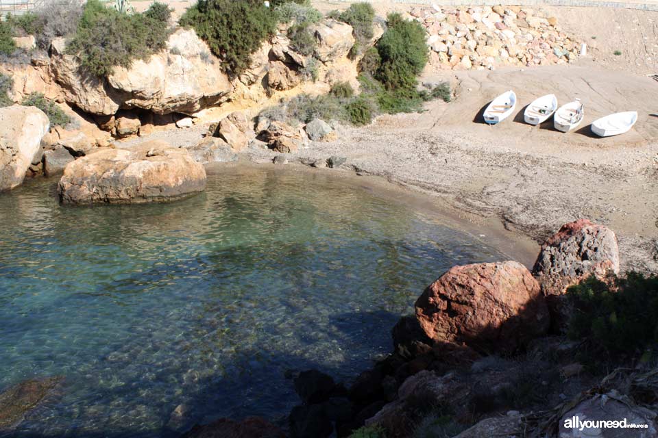 Playa la Caleta