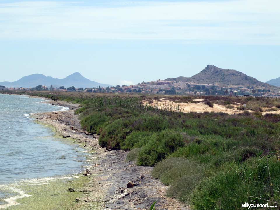 Marina del Carmolí