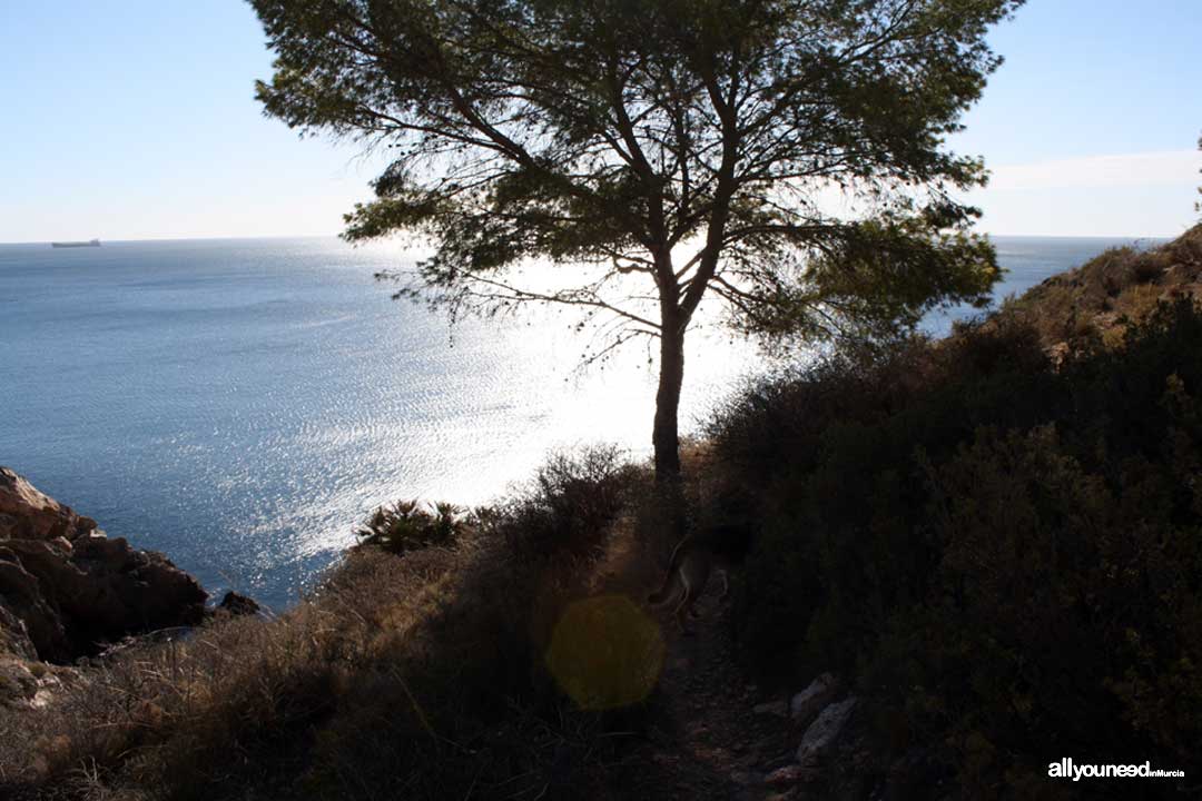Playa el Portús en Cartagena