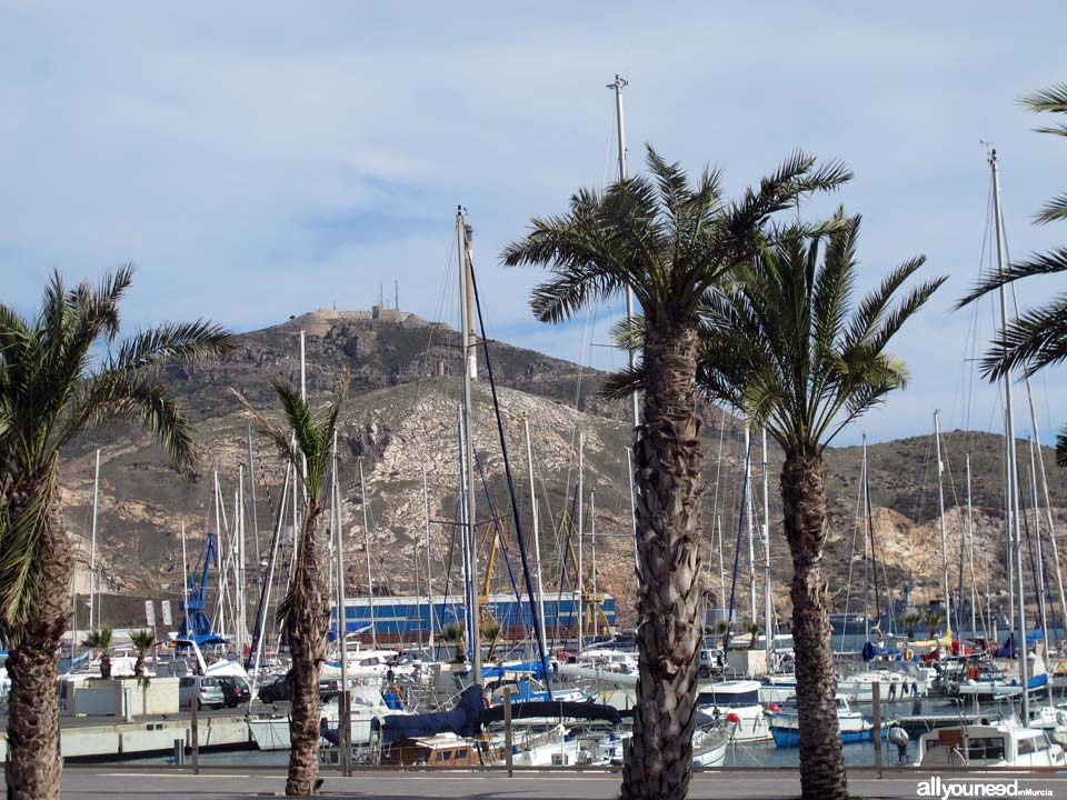 Puerto de Cartagena