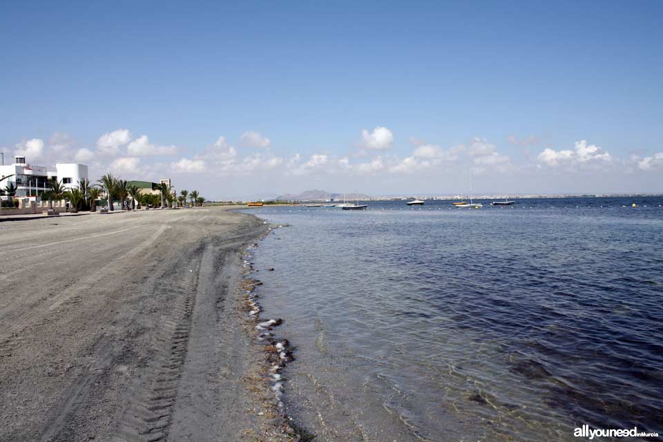 Playa Punta Brava