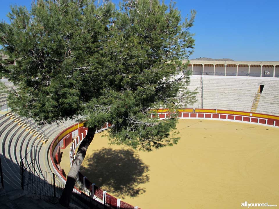 Cehegín Bullring