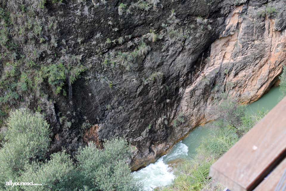 Cañón de Almadenes en Cieza