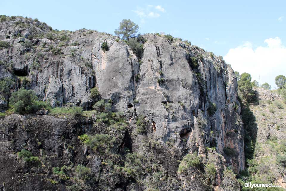 Cañón de Almadenes en Cieza