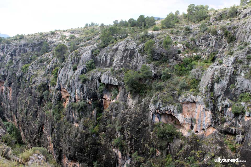 Cañón de Almadenes en Cieza