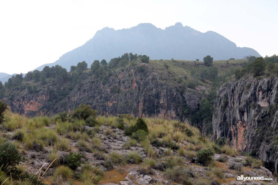 Cañón de Almadenes en Cieza