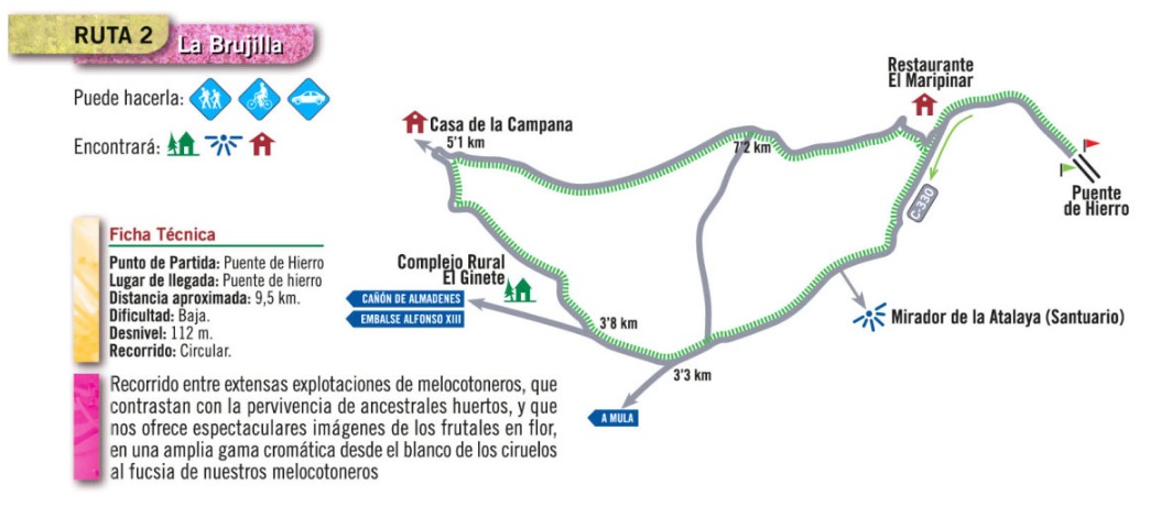 frutales en flor fruiturismo en Cieza Murcia - La Floración en Cieza ✈️ Foro Murcia