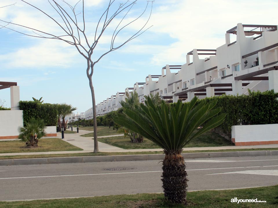 Condado de Alhama. Campo de golf  en Murcia. España