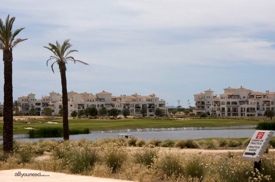 Hacienda Riquelme