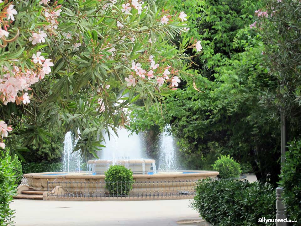 Plaza del Rey Don Pedro de Jumilla