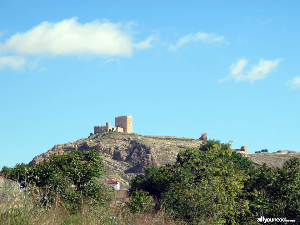 Castillo de Jumilla. Murcia.  Castillos de España.