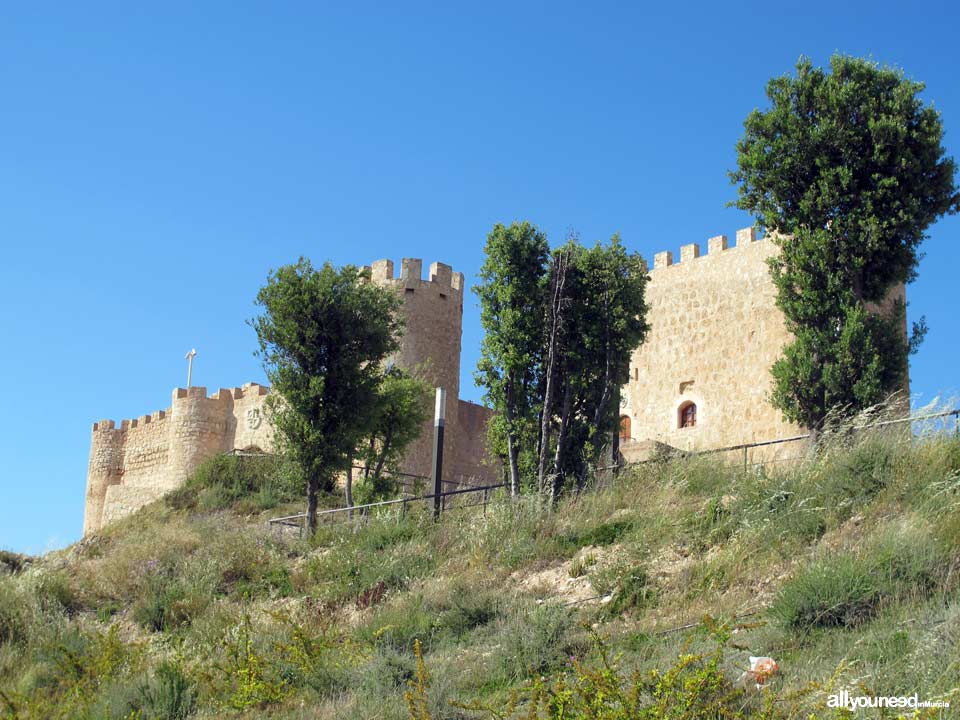 Castillo de Jumilla. Murcia.  Castillos de España.