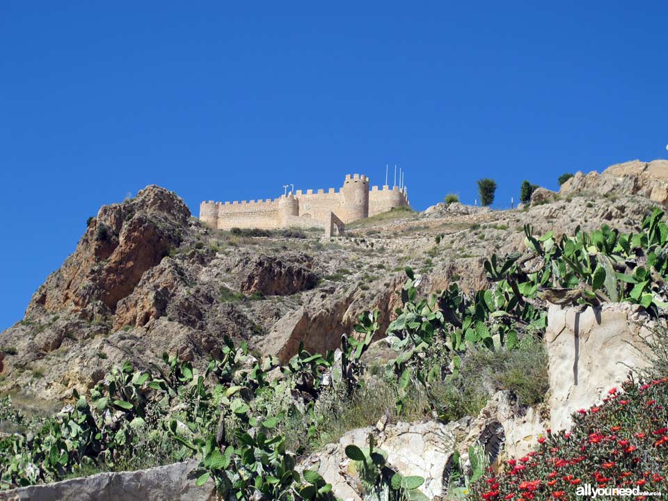 Castillo de Jumilla. Murcia.  Castillos de España.