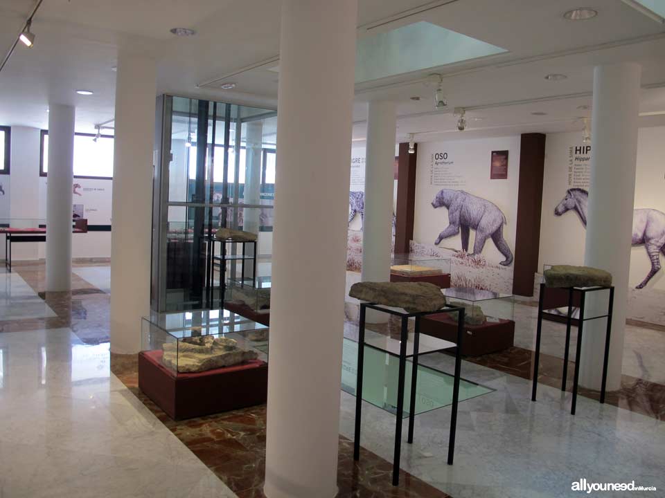 Museo Municipal Jerónimo Molina