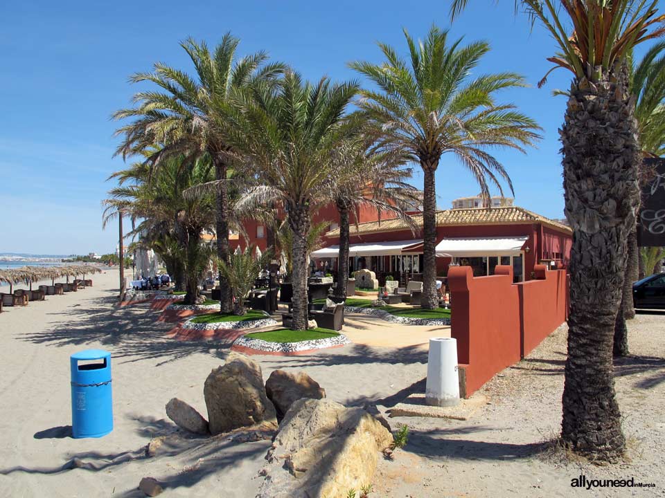 Restaurante Bar Escuela de Pieter