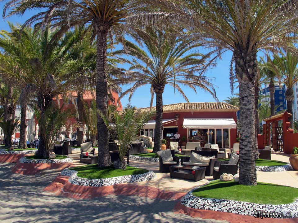 Restaurante Bar Escuela de Pieter