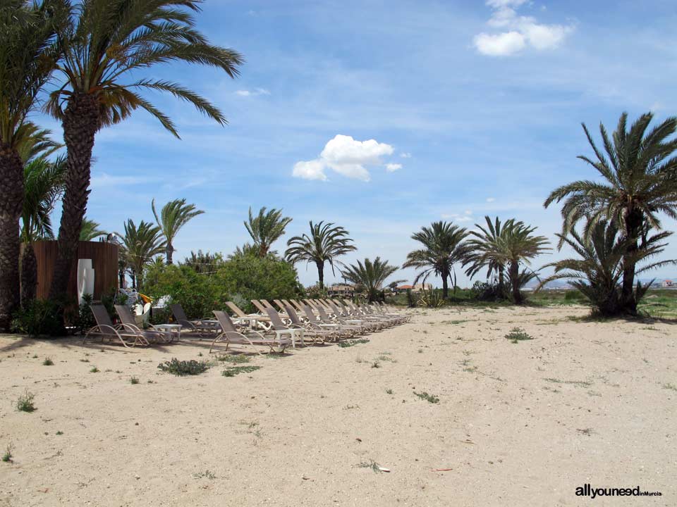 Restaurante Los Collados