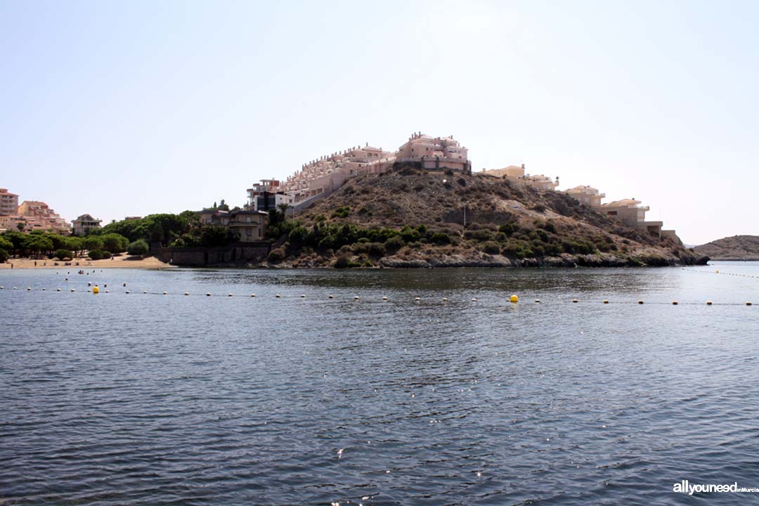 Pino Cove. La Manga