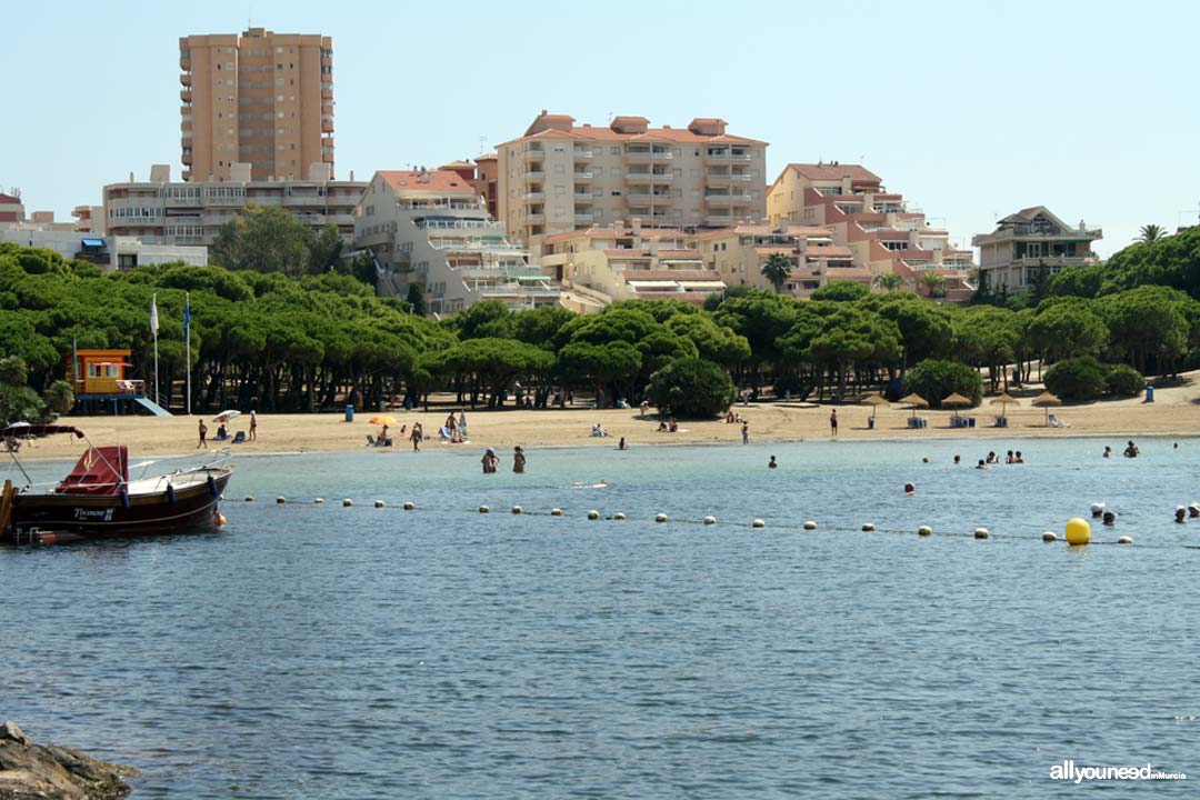 Pino Cove. La Manga