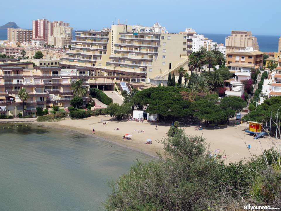 Pino Cove. La Manga