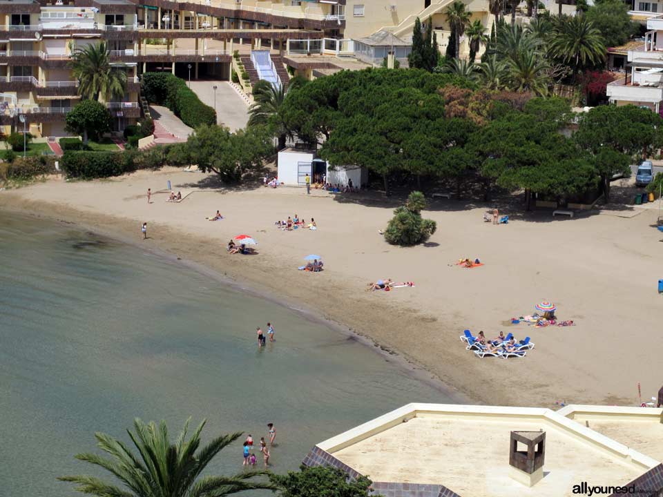 Pino Cove. La Manga