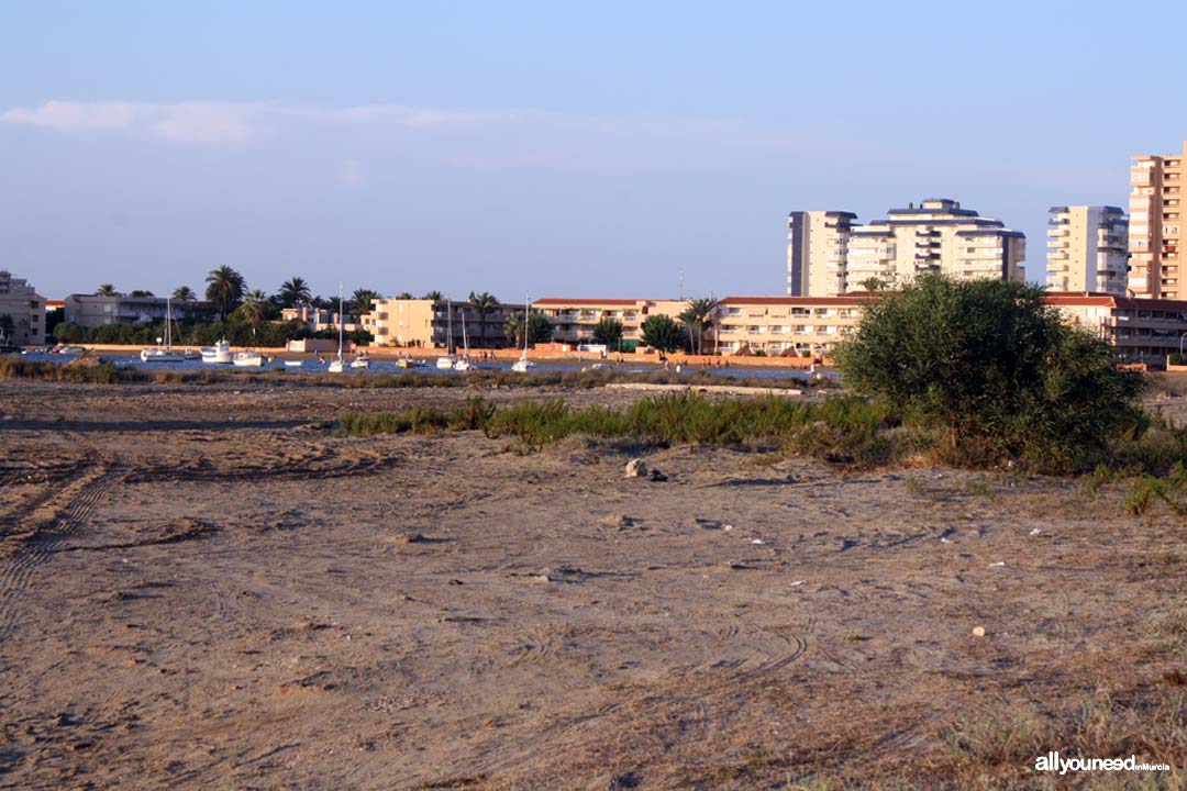 Playa el Vivero