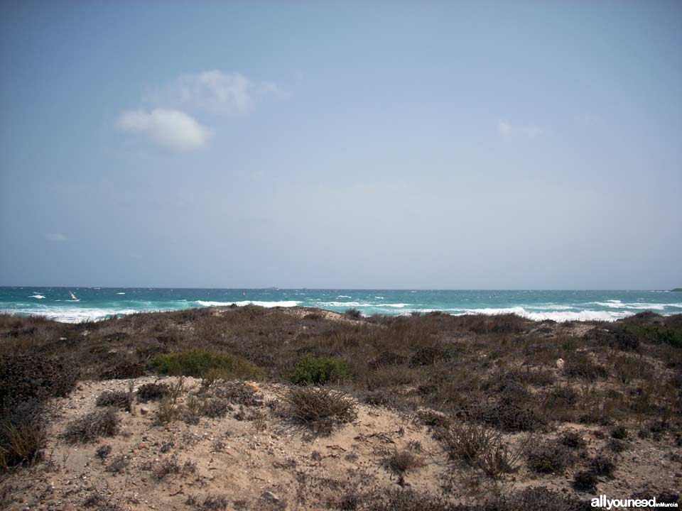 Playa de las Amoladeras