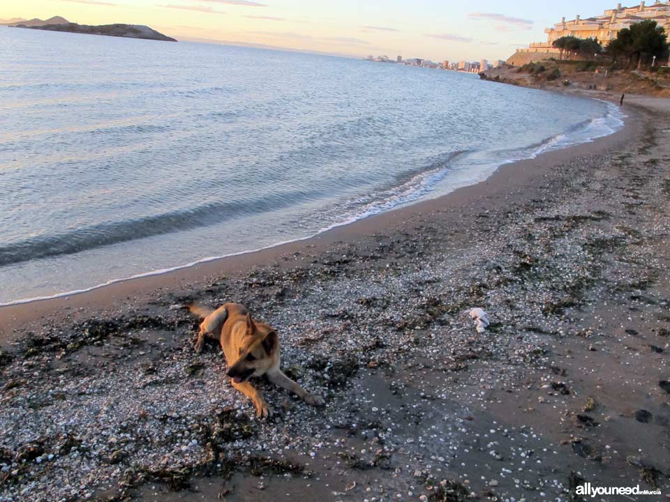 Playa Gollerón