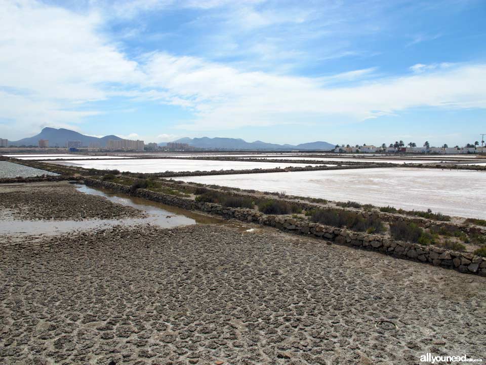 Salinas de Marchamalo