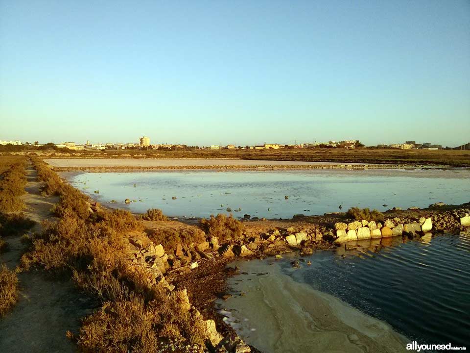 Salinas de Marchamalo