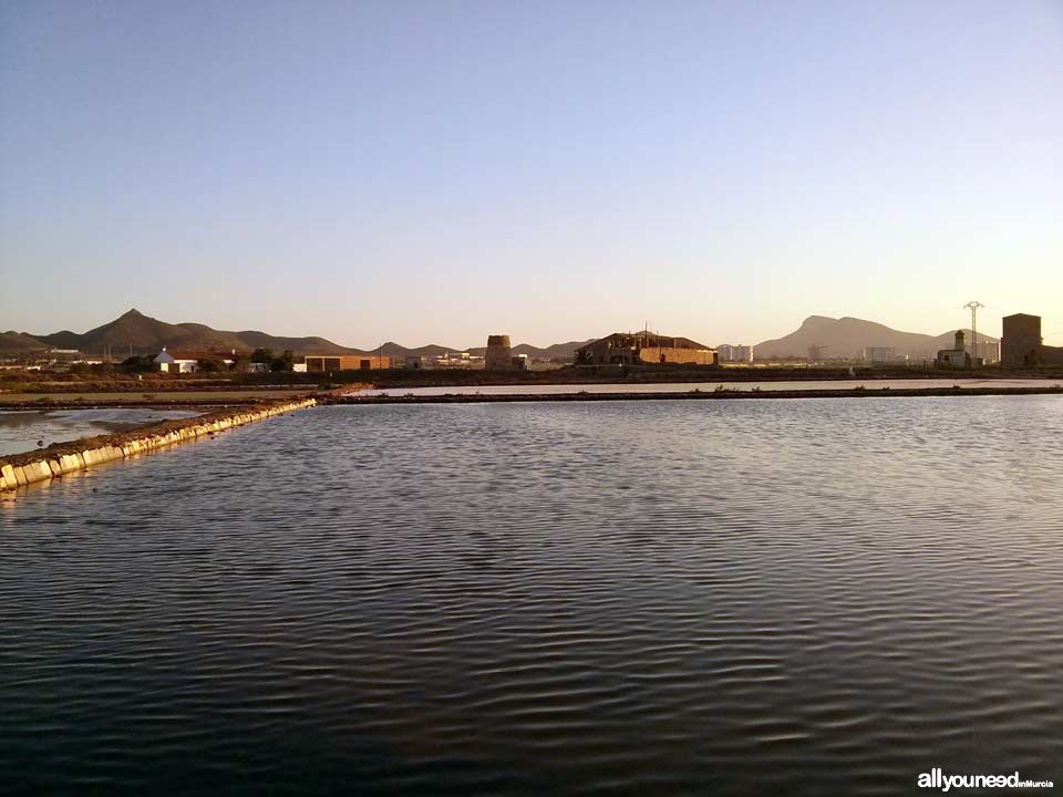 Salinas de Marchamalo