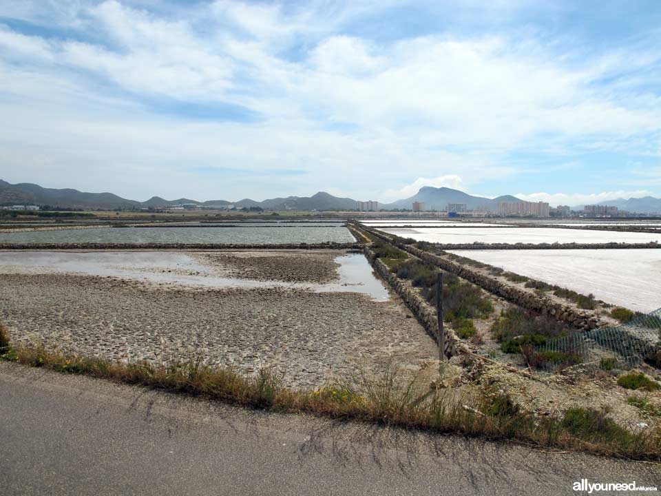 Salinas de Marchamalo