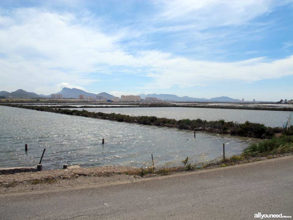 Salinas de Marchamalo