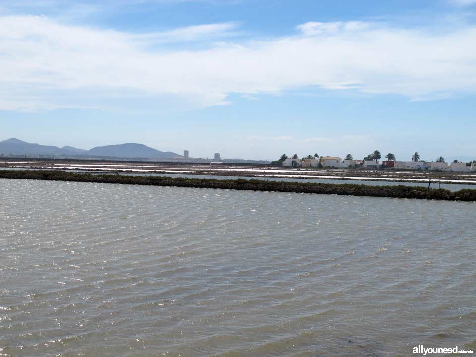 Salinas de Marchamalo