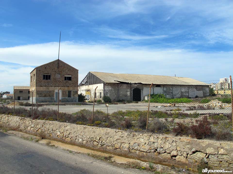 Salinas de Marchamalo