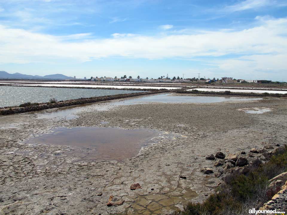 Salinas de Marchamalo