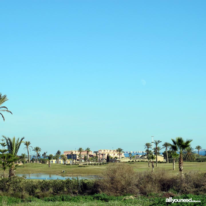 La Serena Golf. Golf Course