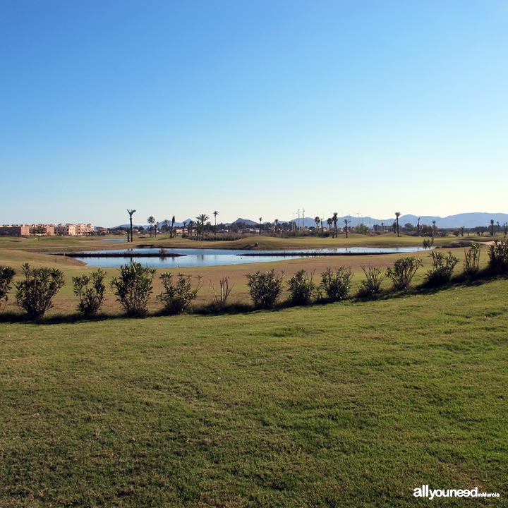 La Serena Golf. Golf Course