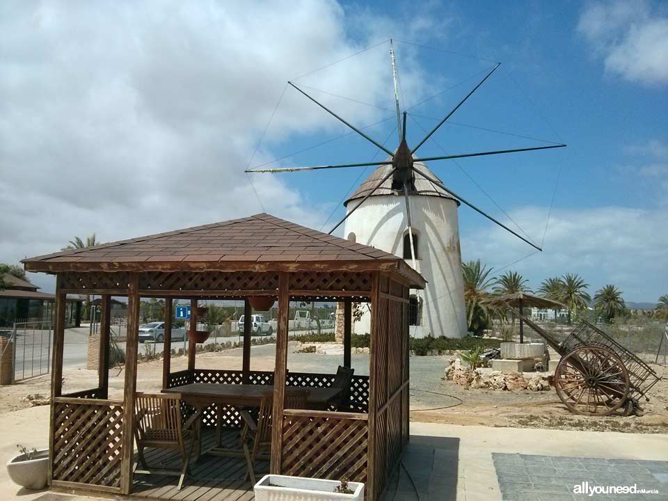Windmill Chiringuito Tres Molinos