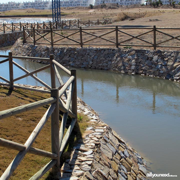 Las Terrazas de la Torre