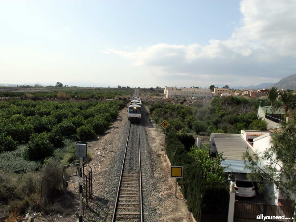 Tren a su paso por Librilla