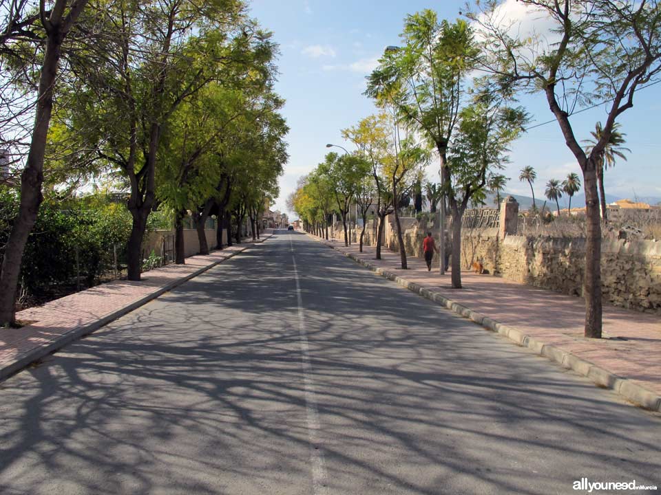 Entrada a Librilla desde Murcia. Avda. de las Fuerzas Armadas