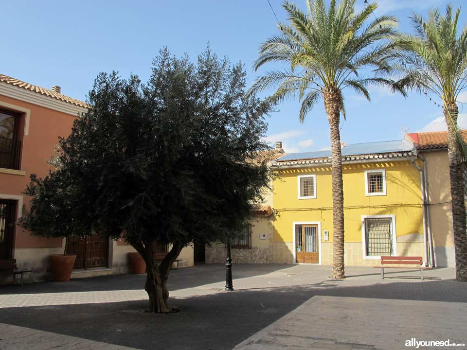 Plaza de D. Francisco Gil Guillamón