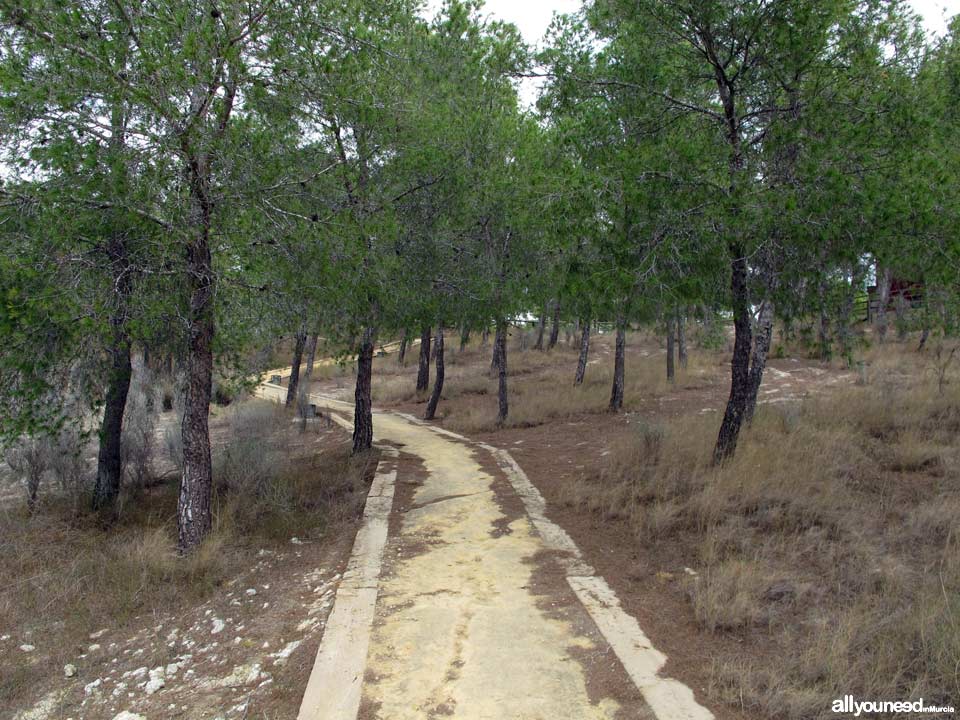 Casa Forestal Los Ballesteros