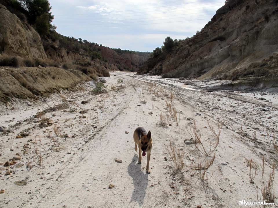 Barranco del Infierno Route