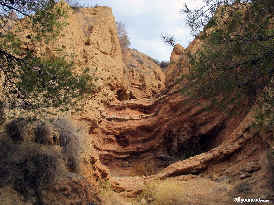 Ruta Barranco del Infierno. Senderismo en Librilla. 