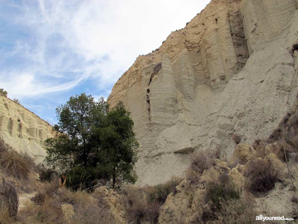 Ruta Barranco del Infierno. Senderismo en Librilla. 