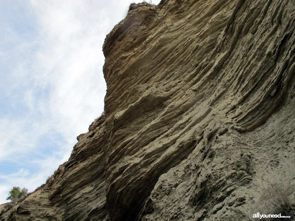 Ruta Barranco del Infierno. Senderismo en Librilla. 