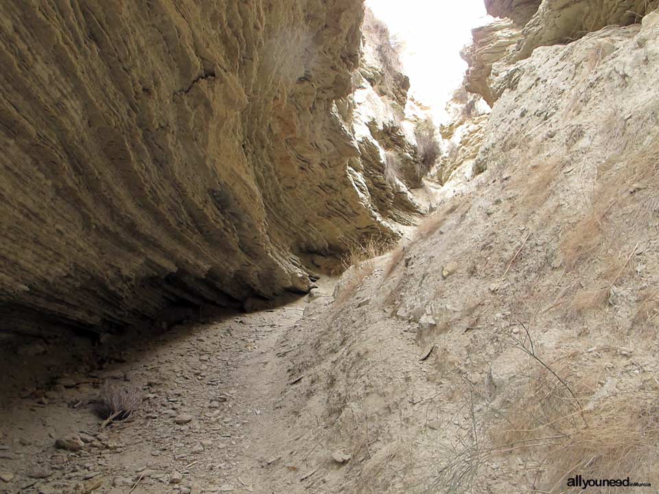 Barranco del Infierno Route